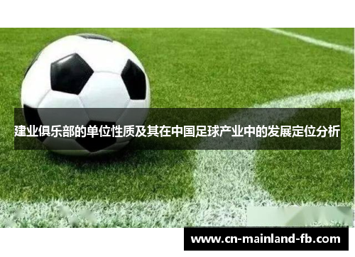建业俱乐部的单位性质及其在中国足球产业中的发展定位分析 建业俱乐部的单位性质及其在中国足球产业中的发展定位分析