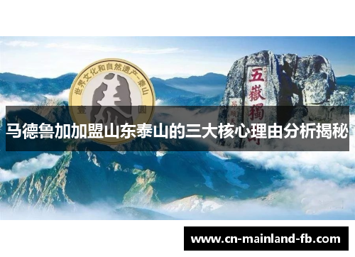 马德鲁加加盟山东泰山的三大核心理由分析揭秘 马德鲁加加盟山东泰山的三大核心理由分析揭秘