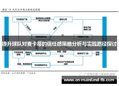 提升球队对麦卡蒂的信任感策略分析与实践路径探讨