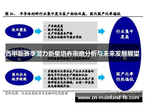 西甲新赛季潜力新星培养策略分析与未来发展展望