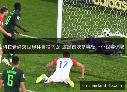 科拉希纳茨世界杯自摆乌龙 波黑首次参赛留下小组赛遗憾